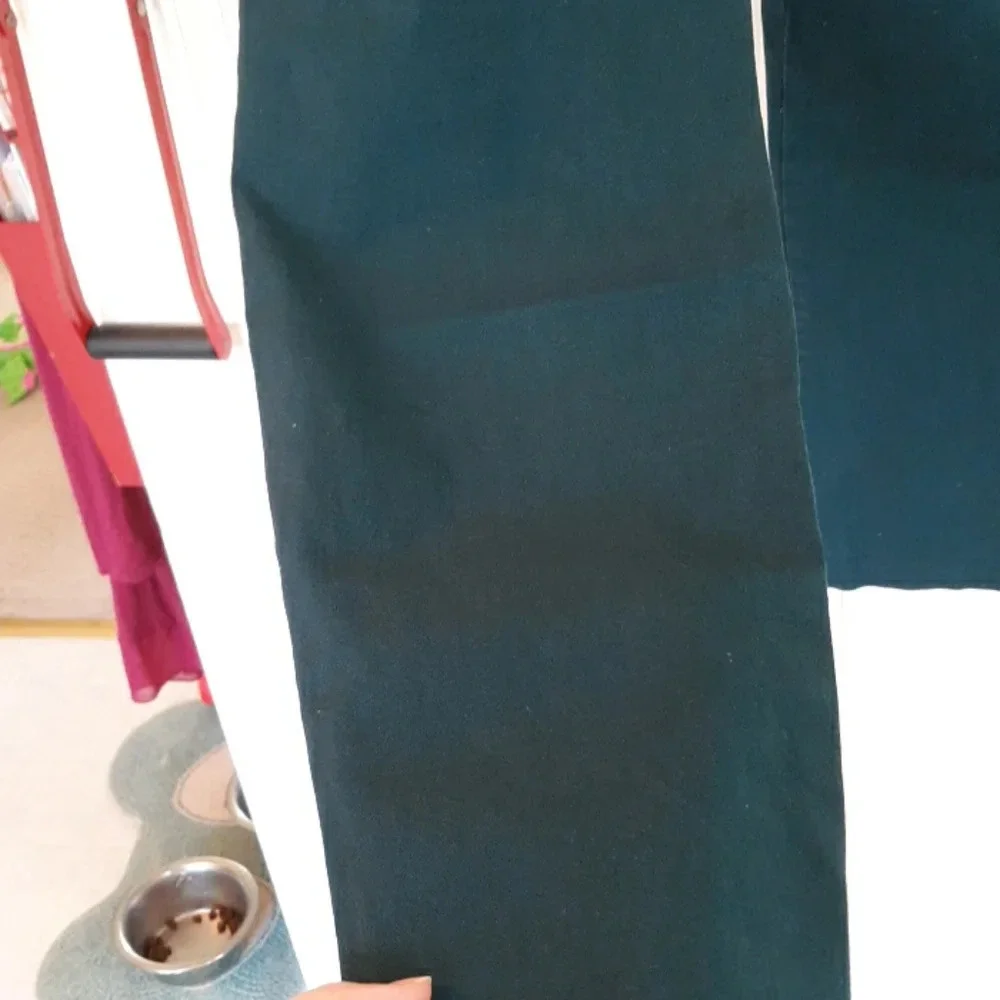 Liz Claiborne Emma Pretty Teal Pants In Size 18